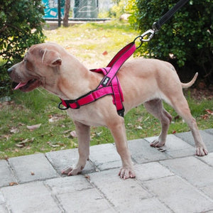 Adjustable Reflective Training Leash