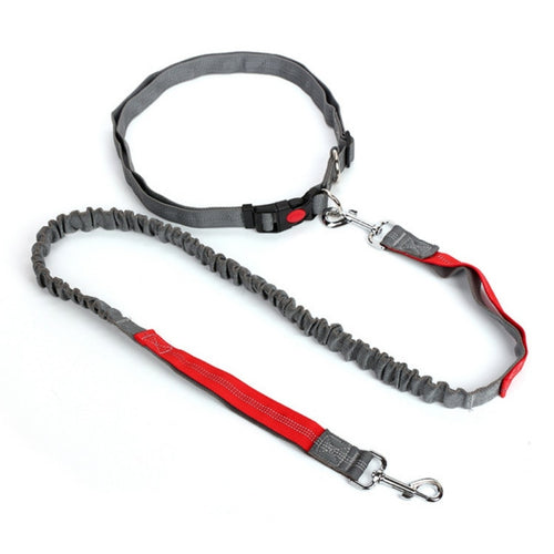Night Reflective Elastic Dog Leash