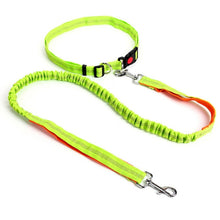 Load image into Gallery viewer, Night Reflective Elastic Dog Leash