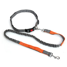 Load image into Gallery viewer, Night Reflective Elastic Dog Leash