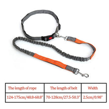 Load image into Gallery viewer, Night Reflective Elastic Dog Leash