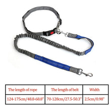 Load image into Gallery viewer, Night Reflective Elastic Dog Leash
