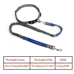 Night Reflective Elastic Dog Leash