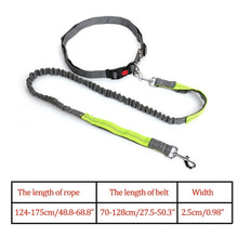 Load image into Gallery viewer, Night Reflective Elastic Dog Leash