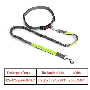 Night Reflective Elastic Dog Leash