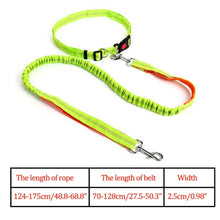 Load image into Gallery viewer, Night Reflective Elastic Dog Leash