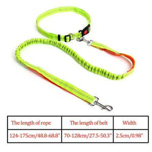 Night Reflective Elastic Dog Leash