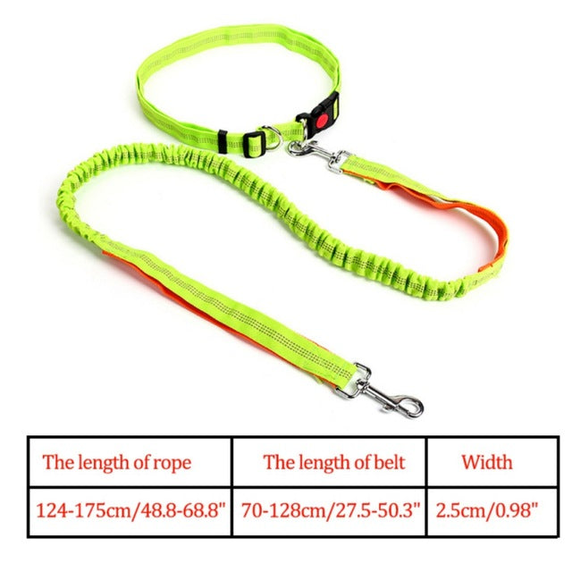 Night Reflective Elastic Dog Leash