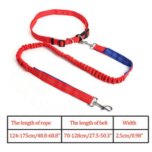 Load image into Gallery viewer, Night Reflective Elastic Dog Leash