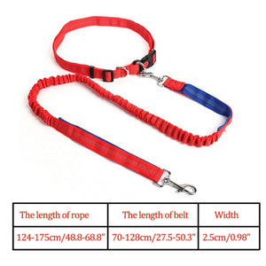 Night Reflective Elastic Dog Leash