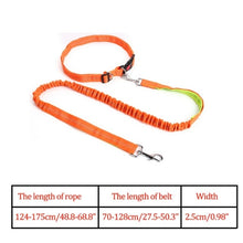 Load image into Gallery viewer, Night Reflective Elastic Dog Leash