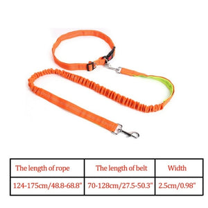 Night Reflective Elastic Dog Leash