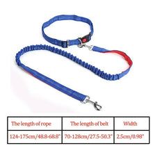 Load image into Gallery viewer, Night Reflective Elastic Dog Leash