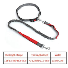 Load image into Gallery viewer, Night Reflective Elastic Dog Leash