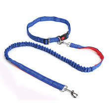 Load image into Gallery viewer, Night Reflective Elastic Dog Leash