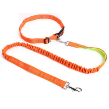 Load image into Gallery viewer, Night Reflective Elastic Dog Leash