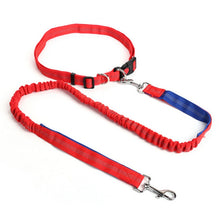 Load image into Gallery viewer, Night Reflective Elastic Dog Leash