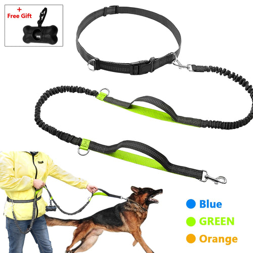 Retractable Hands Free Dog Leash