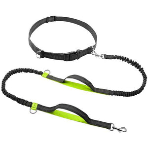 Retractable Hands Free Dog Leash