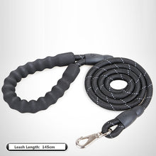 Load image into Gallery viewer, Thick Nylon Dog Leash