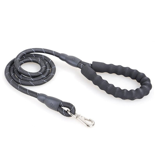 Thick Nylon Dog Leash