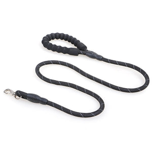 Thick Nylon Dog Leash