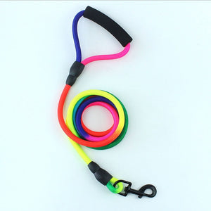 Durable Nylon Rainbow Dog Leash