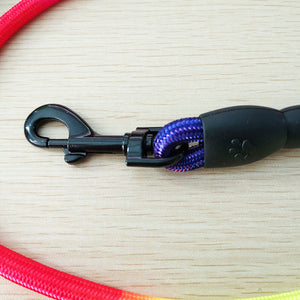 Durable Nylon Rainbow Dog Leash