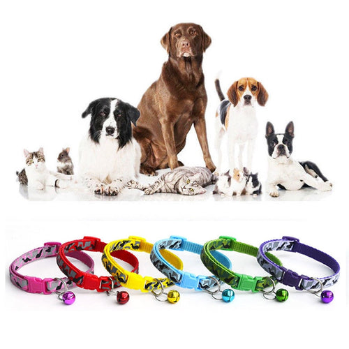 Casual Nylon Dog Collar