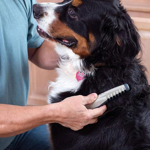 Electric Dog Brush