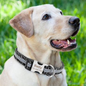 Reflective Dog Collar