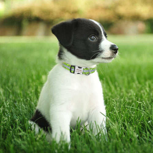 Reflective Dog Collar