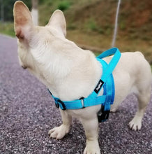 Load image into Gallery viewer, Adjustable Reflective Training Leash