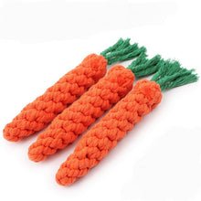 Load image into Gallery viewer, Carrot Shape Rope Toy