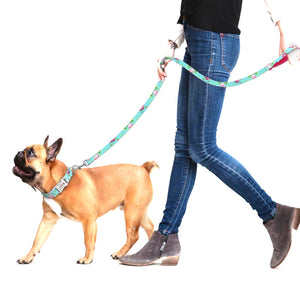 Nylon Print Dog Leash