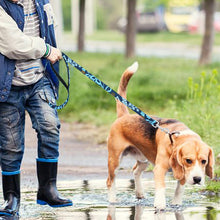 Load image into Gallery viewer, Nylon Print Dog Leash